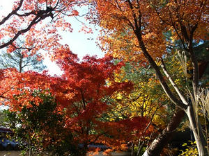 PB262570shuusei.JPG