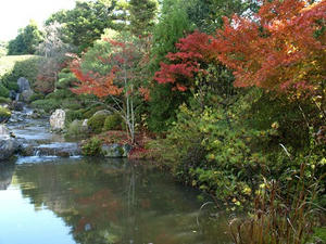 PB262582shuusei.JPG