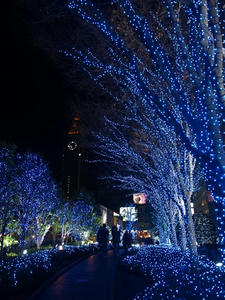 PC184024shuusei.JPG