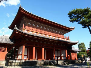 PB262566shuusei.JPG
