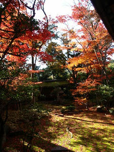 PB262601shuusei.JPG
