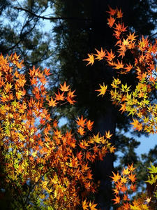 PC103348shuusei.JPG