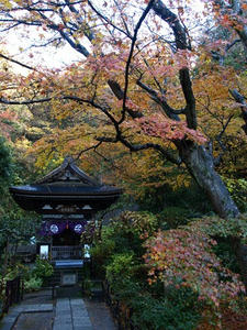 PC103362shuusei.JPG