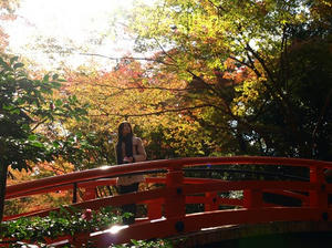 PB262643shuusei.JPG