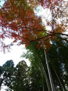 PB262658shuusei.JPG