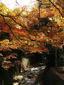 PB262660shuusei.JPG
