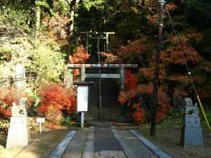 PC103425shuusei.JPG