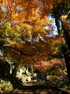 PC103433shuusei.JPG
