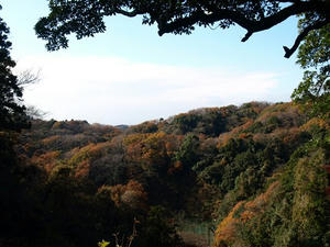 PC103437shuusei.JPG