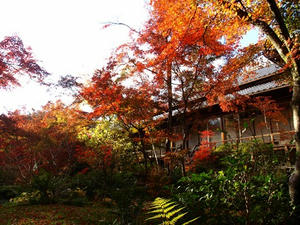 PB262680shuusei.JPG