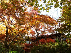 PB262686shuusei.JPG