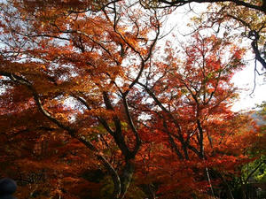 PB262693shuusei.JPG
