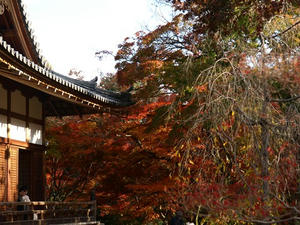 PB262707shuusei.JPG