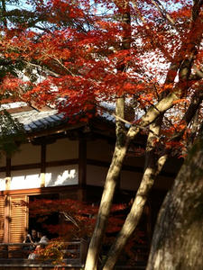PB262709shuusei.JPG