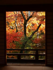 PB262700shuusei.JPG