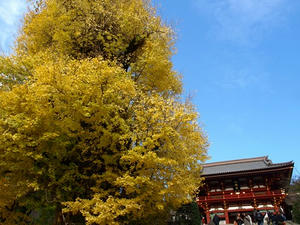 PC103444shuusei.JPG