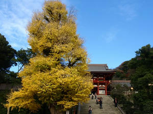 PC103447shuusei.JPG