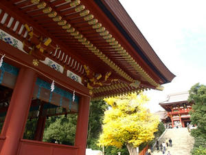 PC103453shuusei.JPG