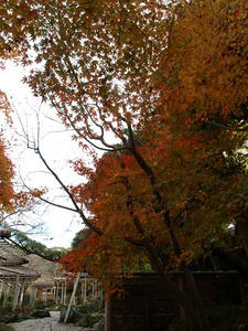 PC103454shuusei.JPG