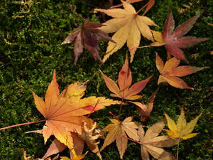 PC103468shuusei.JPG
