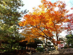 PB262728shuusei.JPG