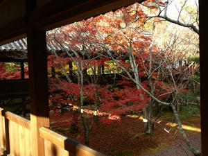 PB262737shuusei.JPG