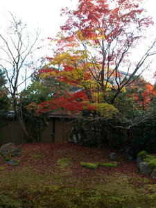 PB262749shuusei.JPG