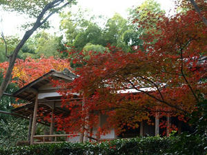 PB262763shuusei.JPG