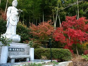 PB262772shuusei.JPG