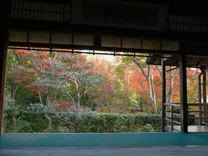 PB262776shuusei.JPG