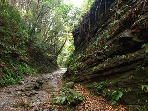PC103477shuusei.JPG