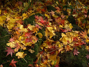 PC103480shuusei.JPG