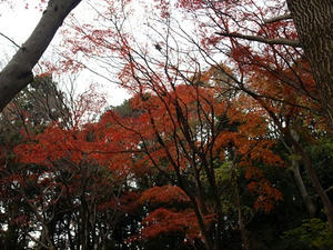 PC103497shuusei.JPG