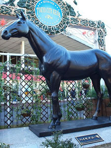PC291172shuusei.JPG