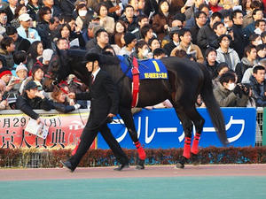 PC291462shuusei.JPG