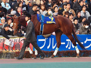 PC291460shuusei.JPG