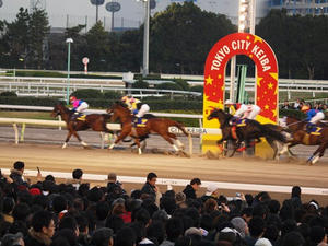 PC291532shuusei.JPG