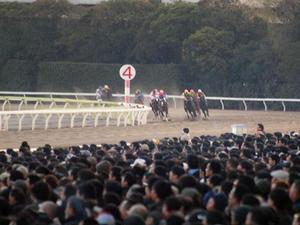 PC291549shuusei.JPG