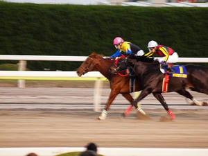 PC291569shuusei.JPG