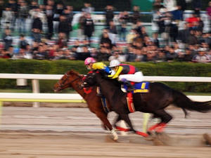 PC291573shuusei.JPG