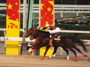 PC291574shuusei.JPG
