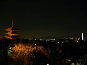 PB262875shuusei.JPG