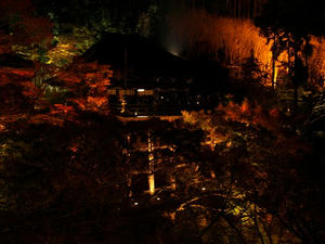 PB262911shuusei.JPG