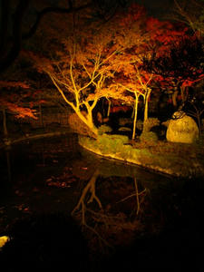 PB262927shuusei.JPG