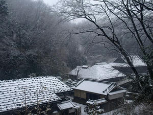 P1239128.shuuseiJPG.jpg
