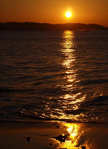 P1011827shuusei.JPG