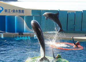 P1012283shuusei.JPG