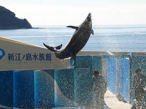 P1012574shuusei.JPG
