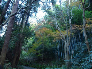 P1012738shuusei.JPG