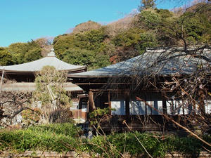 P1012751shuusei.JPG